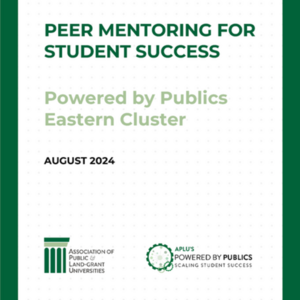 Peer Mentoring for Student Success Report